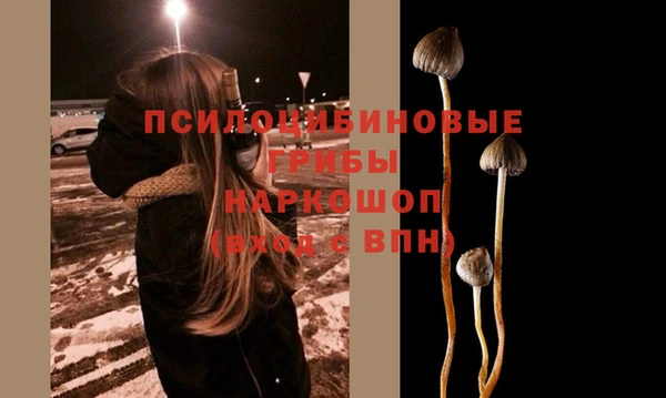 тгк Наволоки