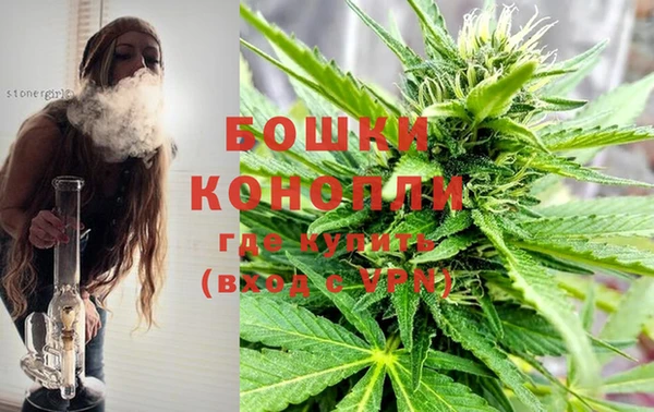 гашик Надым