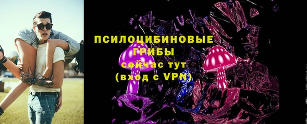 гашик Надым