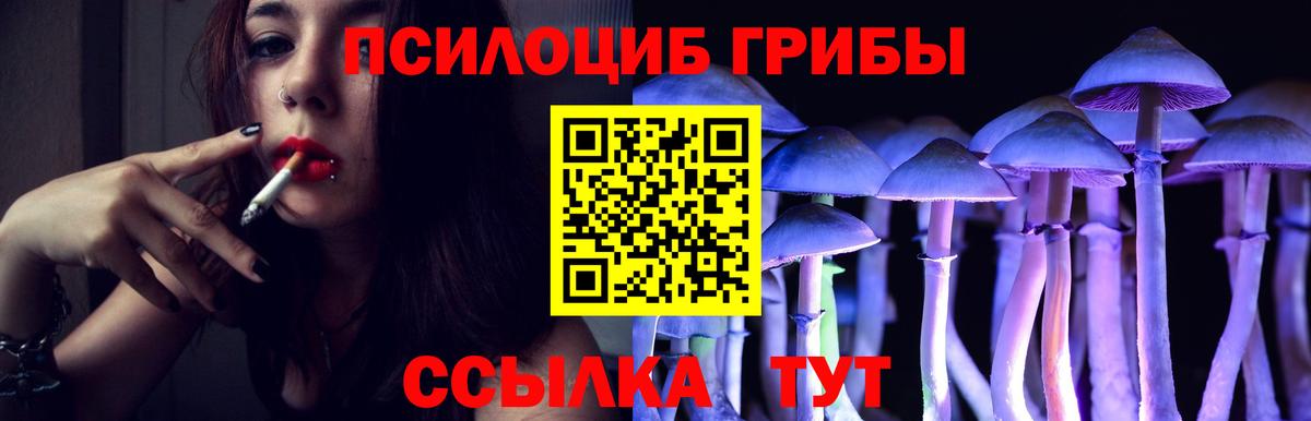 Галлюциногенные грибы прущие грибы  где найти   Ярославль  Вход с VPN 